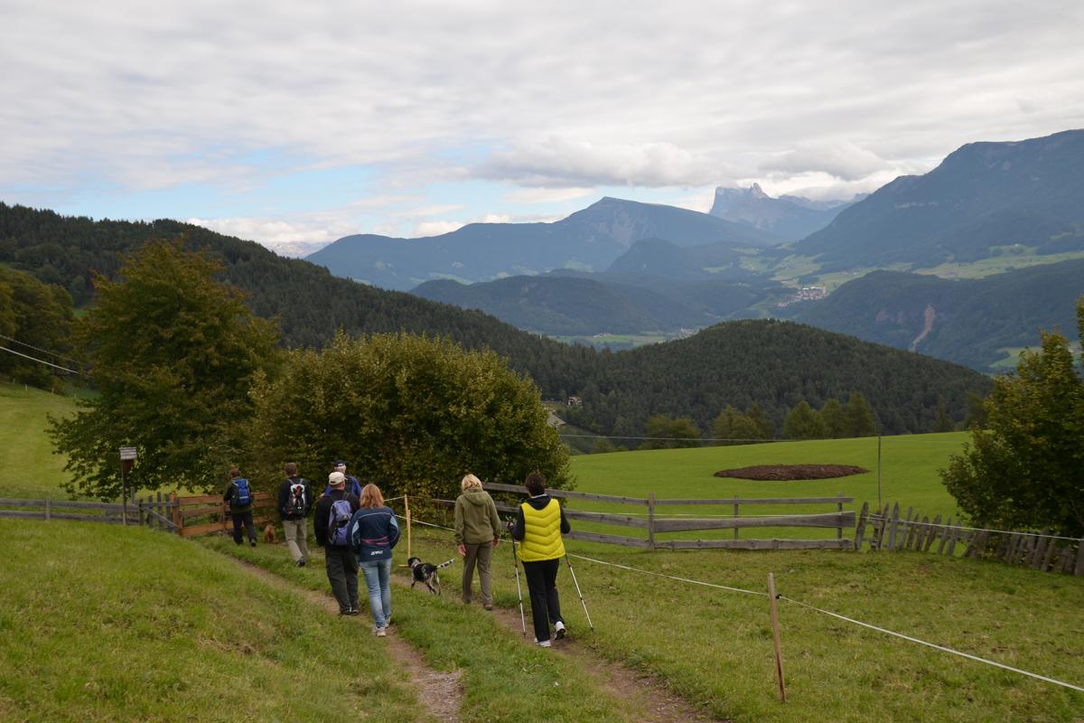 Zunerhof 01.10.2015